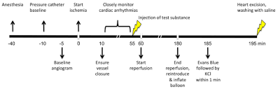 Improvement Of A Closed Chest Porcine Myocardial Infarction