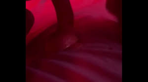 Jenifer brincando com vibrador até gozar - XNXX.COM HD phone wallpaper