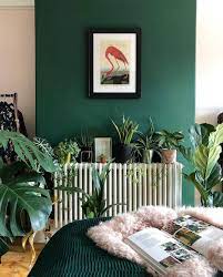Reading Bedtime Stories To The Plantgang By Harrison Nate And Me Urbanjunglebloggers Living Room Green Pink Living Room Bedroom Green