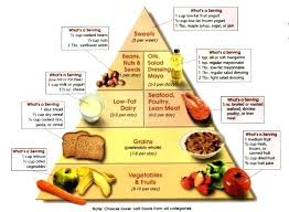 healthy diet pie chart futurenuns info