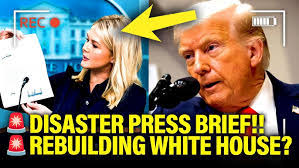 Casey Sink's Instagram, Twitter & Facebook