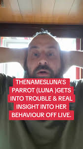 Luna Parrot