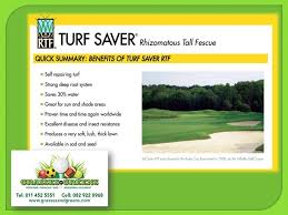 Rtf drought resistant turf (water saver) our staff is standing by to answer any questions. Facebook