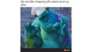At memesmonkey.com find thousands of memes categorized into thousands of categories. Sully Meme Compilation Youtube