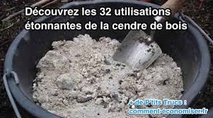 Check spelling or type a new query. 32 Utilisations Surprenantes De La Cendre De Bois Ne Ratez Pas La N 28