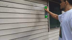 Borax solution for cleaning mold off vinyl siding. A Dead Simple Way To Clean Vinyl Siding Without A Power Washer