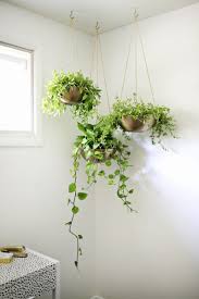 Hanging baskets can be filled with plants that are ideally suited to the time year, different flowers will come into bloom at varying times of the season. Diy Hanging Planters Southern Living
