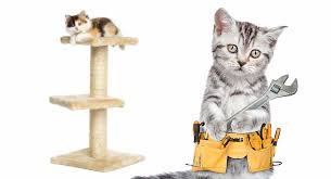 We already have (seriously a million) cat trees inside but i wanted something cheap an. Diy Cat Tree How To Make A Cat Tree With A Hammock