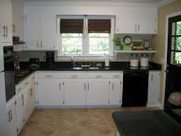 amazing small kitchen designs with