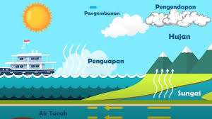 Apakah proses siklus hidrologi atau siklus air? 13 Manfaat Air Bagi Kehidupan Png Content