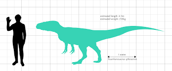 It is known only from an extremely fragmentary specimen, measuring 70 cm (2.3 ft) long. Xuanhanosaurus Wikiwand