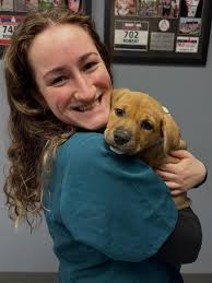 Old Country Animal Clinic