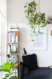 Soil ph isn't overly important to english ivy, but it thrives best in a slightly acidic blend. English Ivy Care Plant How To Grow Maintain English Ivies Apartment Therapy