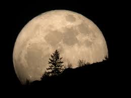 Луна над пляжем бонди в сиднее: April S Super Pink Moon Is The Biggest Full Moon Of 2020 Here S What To Expect Space