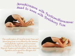Bikram Yoga Sacramento Bikram Yoga Poses Bikram Yoga Poses Bikram Yoga Hatha Yoga Poses