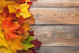 Maybe you would like to learn more about one of these? Hd Wallpaper Autumn Leaves Background Colorful Rainbow Maple Wood Wallpaper Flare
