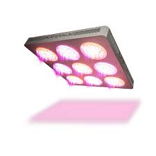 To put it simply, if you're a. Platinum Led Grow Lights
