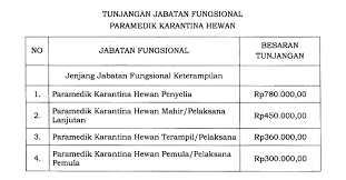 Karena magang, maka gaji diberikan oleh pemerintah pusat. Terkini Gaji Dokter Pns
