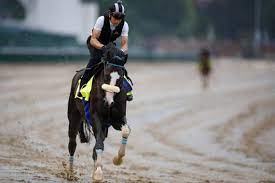 2020 Kentucky Derby Odds Advice Top Contenders Best Bets Lexington Herald Leader