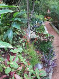 We did not find results for: Shade Plants For Central Texas Lisa S Landscape Design