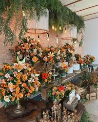 NADIA XAVIER || Story Maker