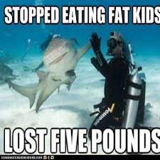 Geekmundo Comic Con Shark Week Memes Sharks Funny Animal Jokes