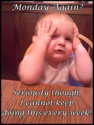 Pin By Minna Mouse On Leighton Work Quotes Funny Happy Kids Quotes Funny Quotes For Kids Thought of the day quotes about imagination/creativity.