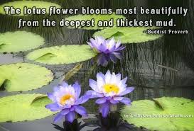 Just as one can make a lot of garlands from a heap of flowers, so man, subject to birth and death as he is, should make. Pin By Holly Tifft On Kamala Lotus Lily Lotus Flower Quote Lotus Quote Flower Quotes