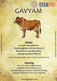 Pin On Gavyam The Secrets Of Holy Cow Perceived By Ancient Indians