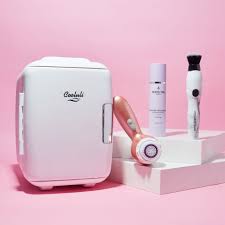Check spelling or type a new query. Chilled Skincare Tools Beauty Fridge Skin Care Tools Cooluli Mini Fridge