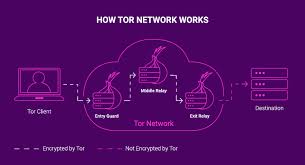 Nordvpn protects you by the two methods of using nordvpn and tor sound similar but work differently. Tor Over Vpn Everything That You Should Know About It Cybernews