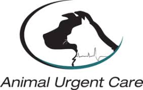 Brightcare veterinary group mission viejo, ca. Emergency Veterinary Care During Operating Hours
