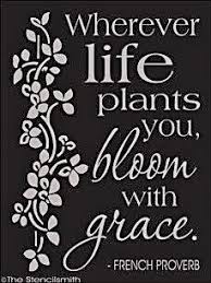 ~terri guillemets, time loses, biology wins, 1995 in a houseful of toddlers and pets, you can start out having a bad day, but you keep getting detoured. 130 Gardening Quotes Ideas Garden Quotes Quotes Garden Signs