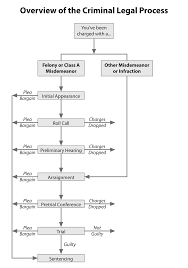 Overview Of The Criminal Justice Process Shantelle L