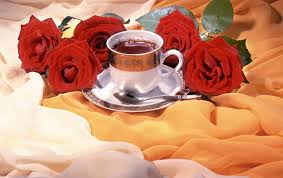 Beautiful purple and pink rose flower. Hot Coffee And Roses Wallpapers Wallpaper Cave