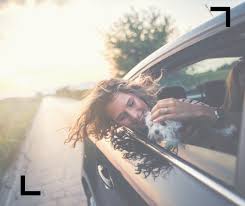 One room smelled like a greasy old dog. Family Chevrolet Gmc Inc Home Facebook
