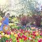 New England Garden Festival – Spring Garden Trail event image