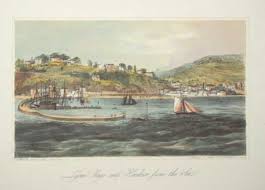 Lyme Regis and Harbour from the Sea.