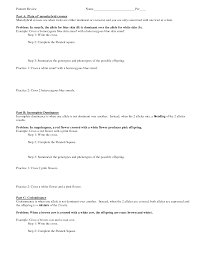 Please allow me to rewrite the key as: Punnett Square Incomplete Dominance Worksheet Answer Key