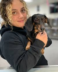 Everyone has a favorite breed. Bethany seems to be that for Vet Tech  Thayah. ❤🐾 #doglovers #dachshund