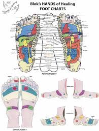 Healing Foot Chart Beauty Tips Reflexology Reflexology