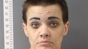 Gofundme account set up for daughter of Wyalusing murder victims