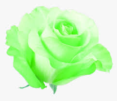 green flower neon pretty freetoedit flowers neon green png transparent png transparent png image pngitem green flower neon pretty freetoedit
