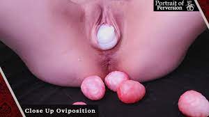 Ovipositor xxx