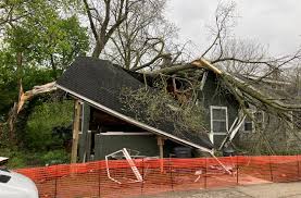 Huge tree crashes through Kalamazoo home, trapping man inside, neighbor says
