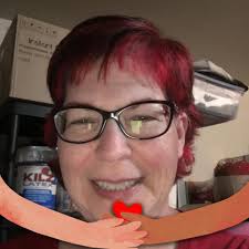 Low carb cat food recommendations without grains