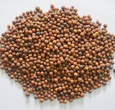 Image result for Embelia