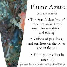 Plume Agate Meaning Gemstone Healing Crystals And Gemstones Healing Stones