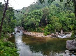 Bukit kutu is located in kuala kubu baharu. At The Start Of Bukit Kutu Trail Picture Of Bukit Kutu Kuala Kubu Baharu Tripadvisor