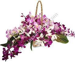 Elegant Orchid An Arrangement Of Farm Fresh Orchids Gathered In A Pan Basket